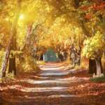 September/October Newsletter