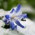 January Sunrise Calendar